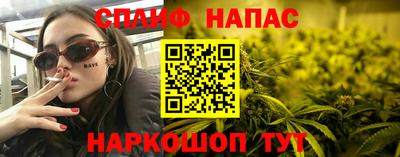 МДПВ Новоалександровск
