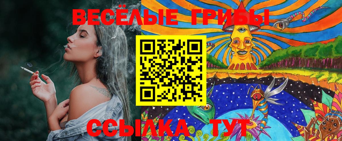 Зерноград  наркотики  Вход с VPN  Псилоцибиновые грибы Psilocybe  Псилоцибиновые грибы мицелий 
